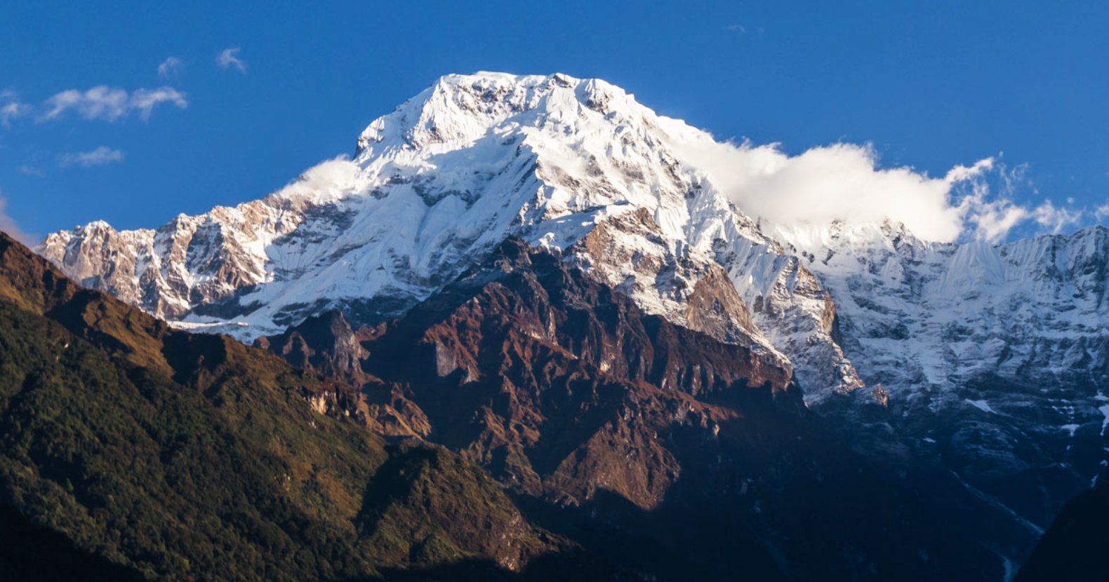 Climb Your Mountain